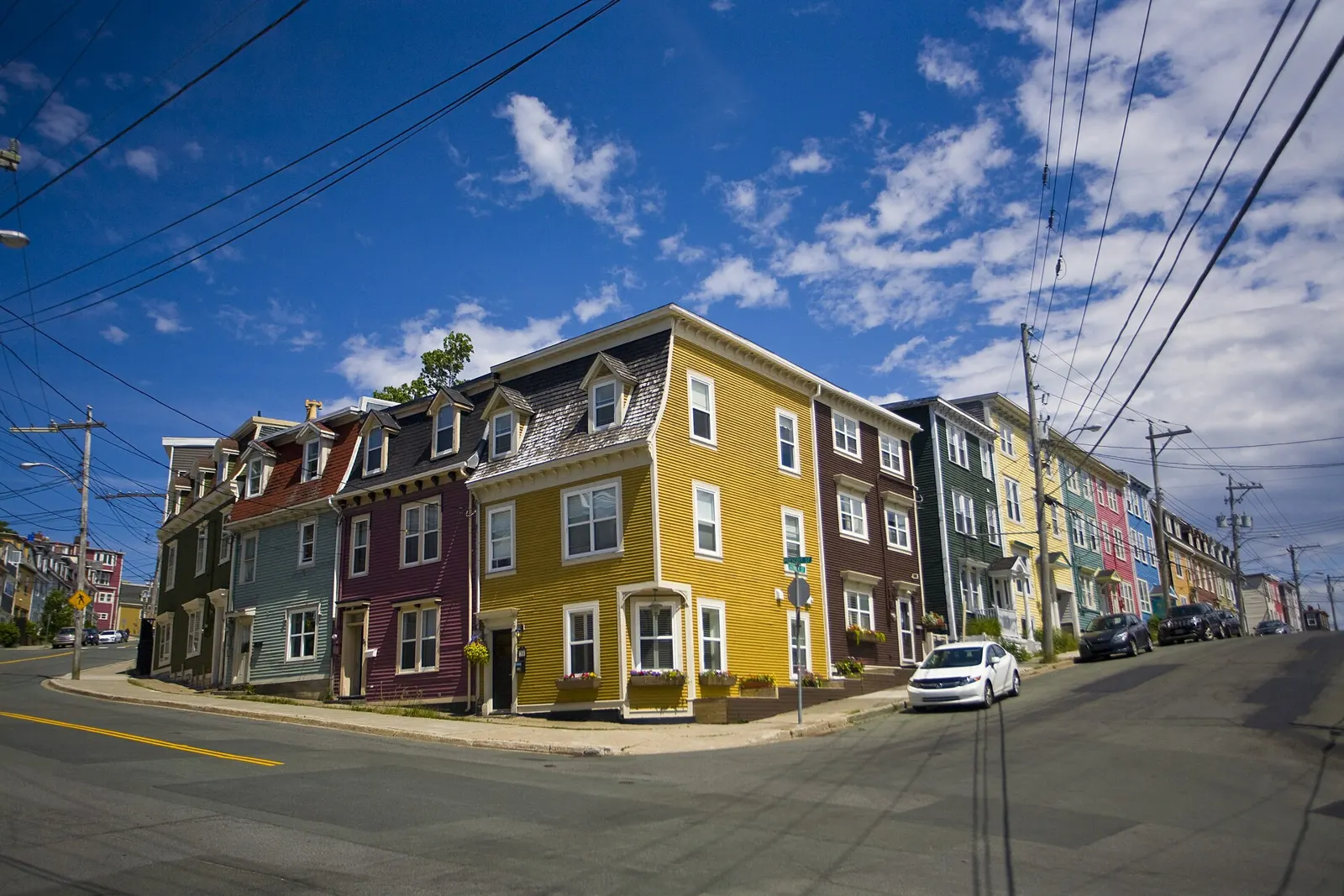 Jellybean Row houses in St. John's