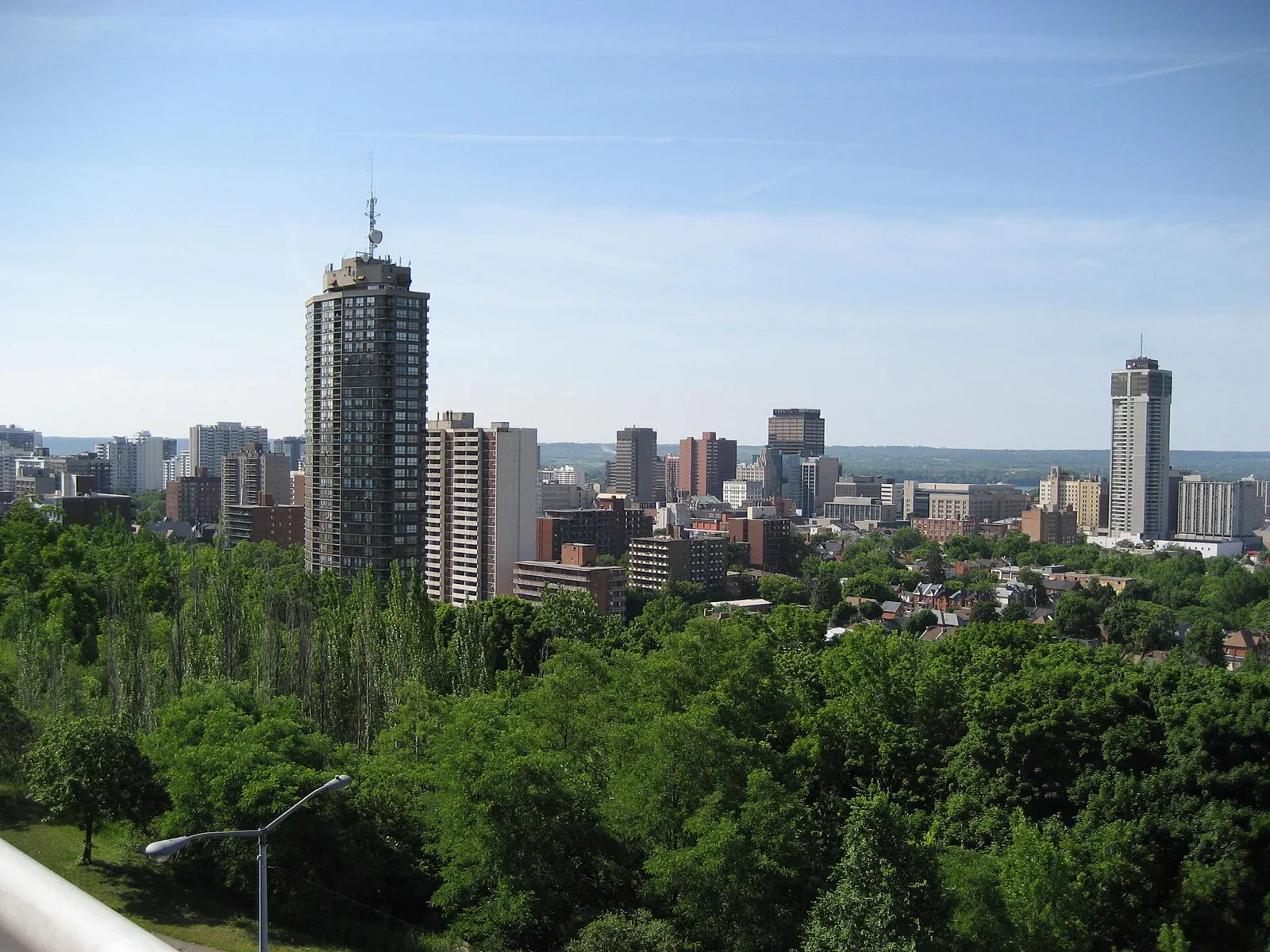 Downtown Hamilton skyline from the escarpment