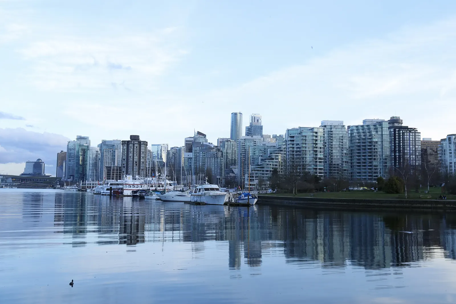 Vancouver skyline and Coal Harbour from Stanley Park